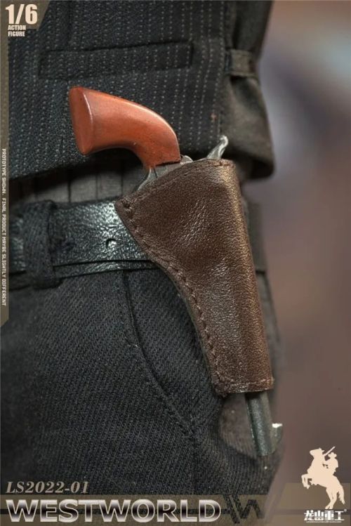 Long Shan Jin Shu Westworld Western Paradise, Man in Black #5