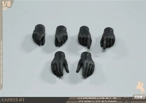 Long Shan Jin Shu Westworld Western Paradise, Man in Black #7