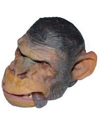 World of One Sixth Customs Ape Chomping Cigar Head Sculpt