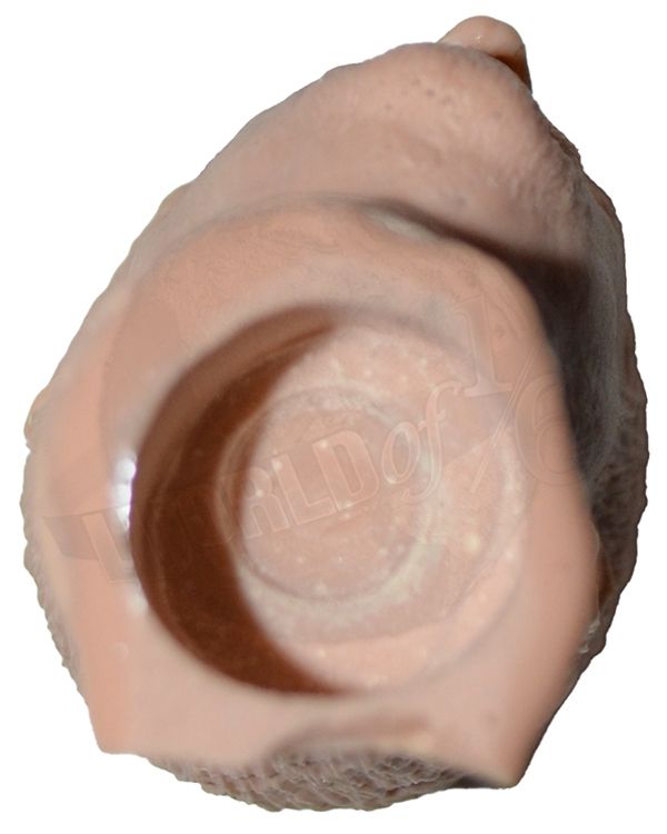 World of One Sixth Originals Benicio Del Toro Head Sculpt #4