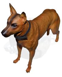 X-Studio Faleut Cooper Howard: Malinois Dog