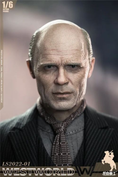 Long Shan Jin Shu Westworld Western Paradise, Man in Black #18