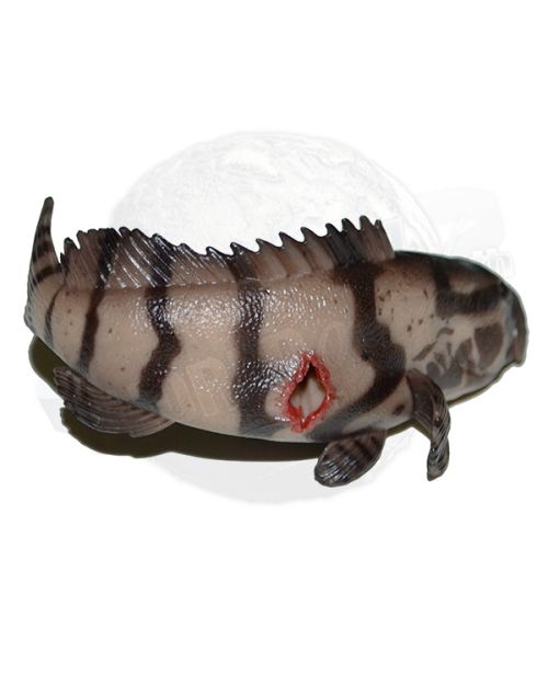 World Box Downtown Union Smuggler: Grouper Fish With Stab Wound #2